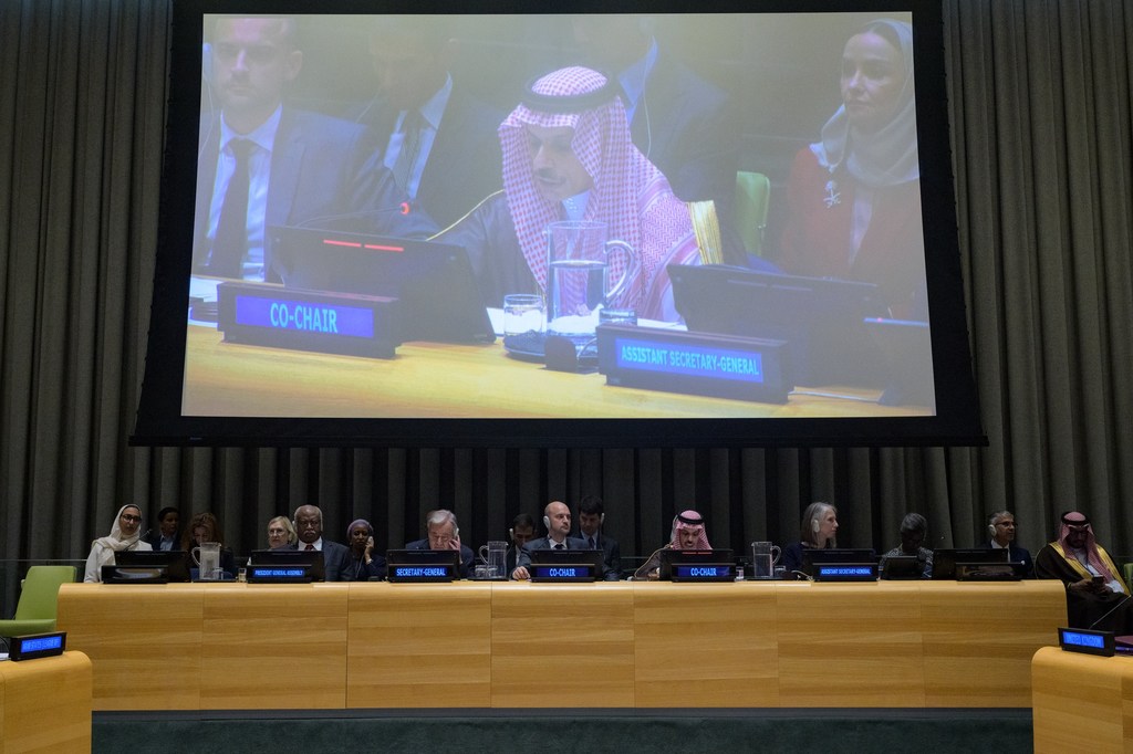Ministerial meeting ahead of the high-level international conference.